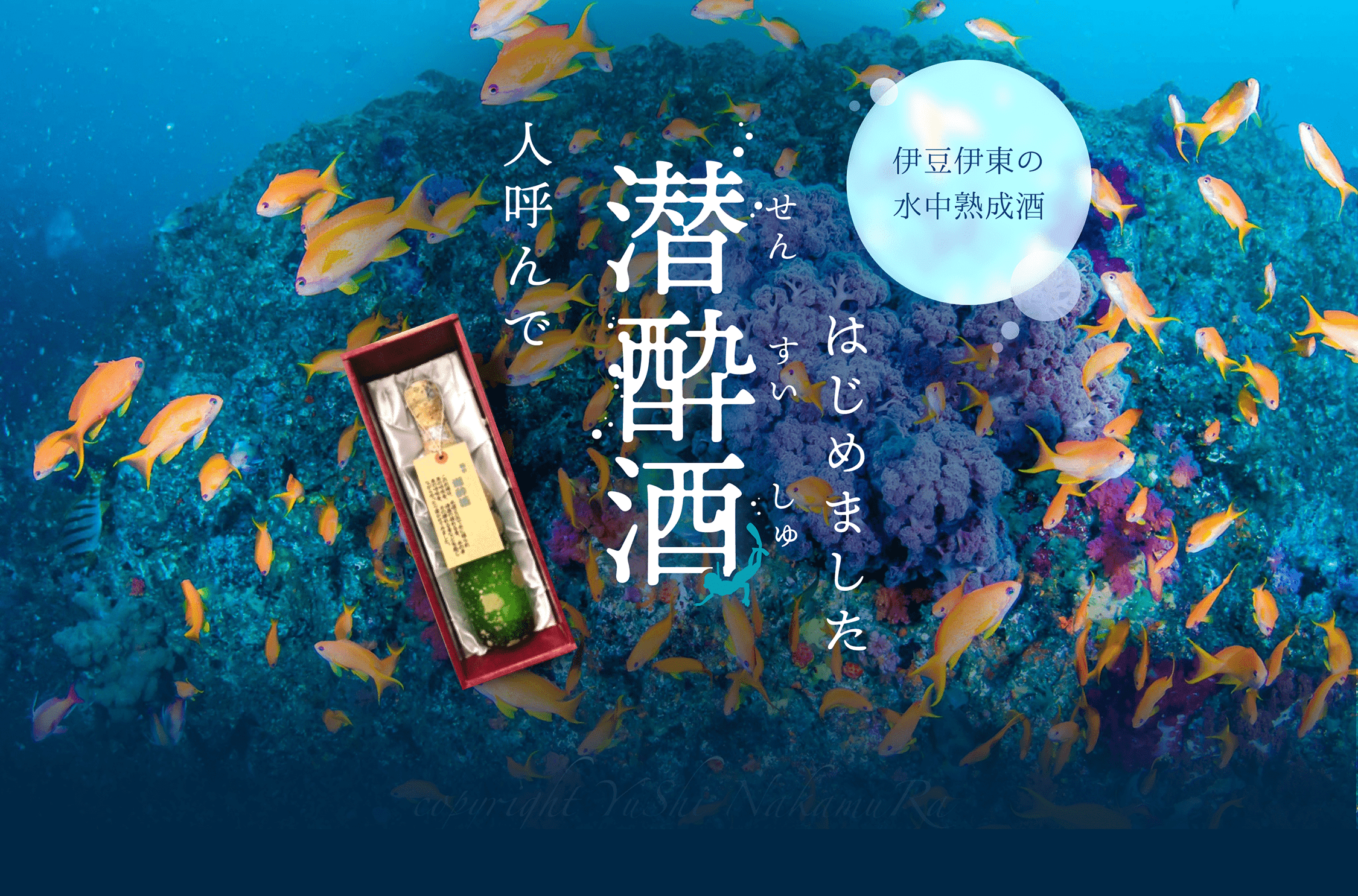 伊豆伊東の水中熟成酒　人呼んで潜酔酒はじめました